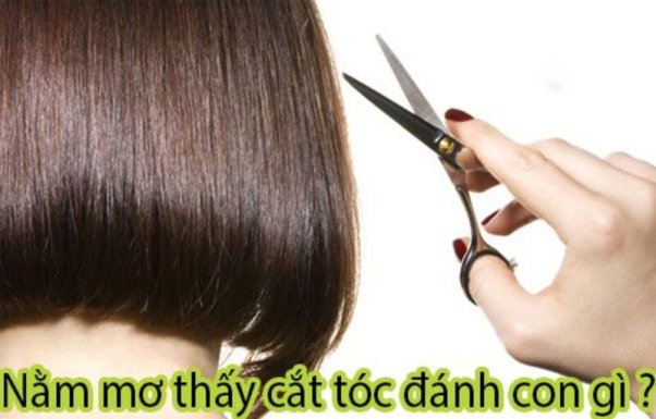 Nằm mơ thấy cắt tóc thì lựa chọn con gì để ăn to