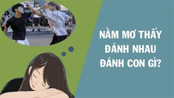 Mơ thấy đánh nhau thì con số nào để cho bạn lựa chọn